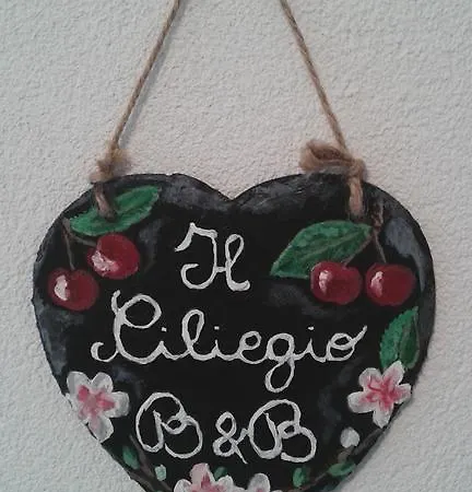 Il Ciliegio Bed & Breakfast Villa di Tirano