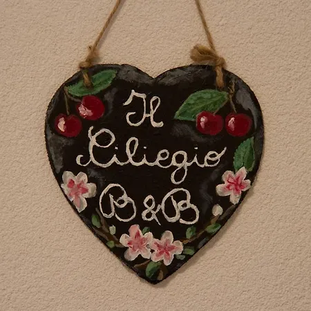 Bed & Breakfast Il Ciliegio Villa di Tirano